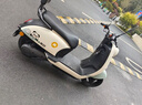 新日电动车72V20Ah铅酸电池100km长续航电动摩托车大功率电摩通勤代步电瓶车丽曼5.0 本彩浅米白/本彩烟灰绿-72V 实拍图