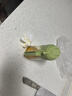 【喷倒两用】玻璃喷油壶瓶空气炸锅厨房家用雾化喷油瓶油罐调料 【耐热玻璃】绿色 470ml 实拍图