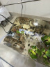 森森鱼缸过滤器三合一内置小型水族箱过滤系统增氧泵XQP-1000F 15W 实拍图