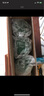 可瑞康（karicare）GOAT山羊奶粉升级版本900g婴幼儿专用配方奶粉澳洲进口 3段3罐【26年8月到期】 实拍图