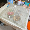 苑美居菜罩家用神器可折叠防苍蝇网罩盖菜餐桌罩长方形剩饭菜罩子食物罩 白色【70*50cm】长方形商用菜罩 实拍图
