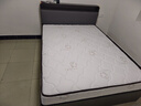海马亦言床垫 席梦思天然乳胶椰棕独立弹簧五星级十大酒店双面加厚品牌 双面款20CM：乳胶+独立弹簧+椰棕 1.5x2.0米 实拍图