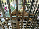 麦富迪狗粮 舒然鱼油狗粮成幼犬粮比熊贵宾清火祛泪痕 鸭肉梨10kg/20斤 实拍图