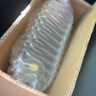 日产NISSAN 原厂制动液刹车油离合器油 DOT3 1L/适用东风日产全系车型 实拍图