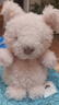 Jellycat小猪可爱公仔动物毛绒玩偶小玩偶送礼娃娃生日婚礼礼物 粉红色 Little 实拍图