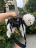 WAKYTU宠物横背包小香风狗狗外出便携猫单肩斜挎背带宠物包黑 适用2-5斤 实拍图