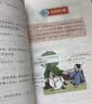 思维导图巧记文学常识 小学必背版 思维导图加趣味漫画 拯救孩子背书困难症 800+常识考点抓住孩子知识储备期 轻松提升语文成绩  实拍图