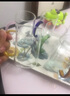 唯铭诺四色高硼硅耐热玻璃杯套装家用带把水杯子玻璃茶杯  四支装400ML 实拍图