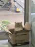 麦富迪猫粮营养pro双鲜肉乳鸽鸡肉全期免疫猫粮成幼猫无谷天然粮 【双鲜肉+姬松茸】助力免疫好吸收200g试吃 实拍图