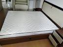 海马飞雪床垫席梦思天然椰棕乳胶独立弹簧床垫酒店厚薄双人家用榻榻米垫子 15cm豪华款(乳胶+椰棕+独立弹簧) 1.8x2米 实拍图