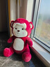 范缇思生日礼物草莓熊玩偶女变身小熊公仔玩具送女孩儿童新年礼物 红色小熊【帽子可脱】 65CM【高品质棉可放心抱着睡】 实拍图