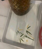 希迪北欧托盘家用放茶杯水杯杯子茶盘客厅长方形水果盘白色收纳盘子 方形加大号-富贵竹 实拍图