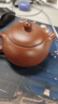 束氏宜兴原矿紫砂手工紫砂壶大红袍泥紫砂茶具水平泡茶壶礼盒装送人 实拍图