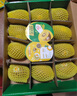 佳沛（zespri）新西兰 阳光金奇异果12粒礼盒特大果单果约122-146g 猕猴桃 水果 实拍图