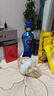 洋河蓝色经典 海之蓝42度480ml*6瓶 整箱装（非原箱） 绵柔浓香型白酒 实拍图