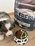 伯纳天纯冻干狗粮生鲜鸭肉梨0谷物冻干成犬幼犬通用犬粮 15kg 实拍图