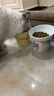 华元宠具（hoopet）猫碗陶瓷食盆猫粮碗水碗猫咪斜口高脚护颈宠物喝水狗狗碗猫用饭碗 （图案随机）斜口碗300ml 实拍图