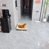 柒哦狗窝宠物凉席夏季睡垫护颈冰窝猫狗垫子全可拆洗中小型犬狗床凉窝 【凉席加厚款】阳光花海可拆洗 S-30*40CM（建议4斤内） 实拍图
