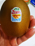 佳沛（zespri）新西兰  阳光金奇异果18粒超大果原箱单果重约173-204g 猕猴桃 实拍图