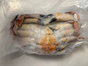 超大面包蟹母帝王蟹鲜活熟冻大螃蟹海蟹新鲜海鲜水产黄金蟹珍宝蟹 400-600g*1只 净【满黄母蟹】 实拍图
