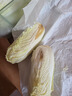 云南高原娃娃菜新鲜蔬菜生鲜乾隆白菜早餐火锅必备产地直发 浅黄色 新鲜娃娃菜3颗装*8包 实拍图