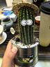 桌布新款欧式风格防水防油免洗餐桌茶几桌垫家用桌布 好运格子-绿色（薄款） 137*152cm 实拍图