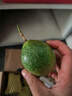 京鲜生 钦蜜9号黄金百香果 5斤单果60g+ /35-45个生鲜水果奶茶 源头直发 实拍图