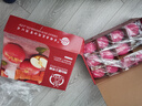 京鲜生 山东栖霞红富士苹果精品12粒 单果190g-240g  生鲜水果 礼盒 实拍图