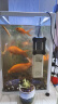 森森 小鲤鱼缸过滤器净水循环三合一内置水族箱过滤系统XQP-500F 6W 实拍图