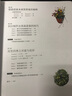 我爱玩混栽 实拍图
