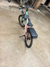 凤凰（Phoenix）儿童自行车6-15岁男孩女孩中大童山地车变速学生车小学生自行车 幻影粉绿色- 单速辐条轮 无后座 20寸(适合130-150cm) 实拍图