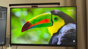 LG27英寸4K显示器 设计师 IPS面板 设计绘图 硬件校准 Mac外接液晶台式电脑显示屏幕 游戏电竞 27UQ850V【27英寸 4K 反向充电90W】 实拍图