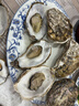 京采寻鲜【鲜活】乳山生蚝 特大牡蛎海蛎子 生鲜中秋国庆送礼海鲜水产贝 净重5斤【蚝王】（4-5两/个） 实拍图