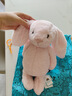 Jellycat害羞粉色邦尼兔动物毛绒玩偶安抚公仔娃娃生日婚礼礼物 粉红色 H31 X W12 CM 实拍图
