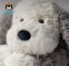 Jellycat唐布利牧羊犬动物毛绒玩偶安抚玩具狗公仔送礼娃娃生日礼物摆件 浅灰色 Medium 实拍图