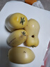 金百粟黄金蜜瓜 新鲜头茬甘肃沙漠黄河蜜瓜哈密甜瓜果整箱时令水果生鲜 黄金蜜瓜净重4.5斤【2-4枚装】 实拍图