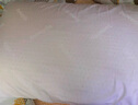 邓禄普（Dunlopillo）男人枕 荷兰进口特拉雷Talalay天然乳胶 物理发泡工艺 实拍图
