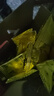 比比赞（BIBIZAN）蔓越莓曲奇饼干礼盒1000g解馋休闲零食蔓越莓西饼下午茶休闲零食 实拍图
