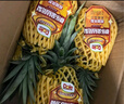 都乐Dole 菲律宾无冠凤梨 巨无霸1只净重2.6斤+  酸甜可口 源头直发 实拍图