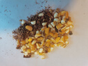 南同四海南京同仁堂玉米须茶搭降黄芪苦荞栀子玉米须独立茶包袋装压养生茶 实拍图