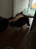 喵仙儿猫抓板猫窝一体耐磨不掉屑猫爪板大号剑麻猫玩具猫沙发 实拍图