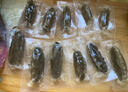 渔游记（YUYOUJI） 鲜食海参礼盒开袋即食500g 10-15头辽刺参固形物≥50% 海鲜水产 实拍图