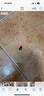 黑旋风蟑螂药杀蟑饵剂全窝端家用非无毒一窝端屋贴胶饵驱灭诱饵神器14个 实拍图
