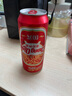 重慶啤酒国宾330ml*24罐 麦香浓郁 口感醇正 火锅聚会常备 330mL 24罐 【国宾】 实拍图
