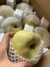 正鲜季（ZHENGXIANJI）正宗砀山梨酥梨薄皮梨当季新鲜水果砀山梨雪梨脆甜大果整箱安徽 5斤 【大果250g+】砀山直发|脆甜多汁 实拍图