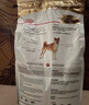 皇家狗粮 柴犬成犬狗粮 宠物中型犬 SIA26 全价犬粮 10月-8岁 6.5KG 实拍图