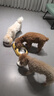 麦德氏IN高钙低敏配方羊奶粉300g宠物羊奶粉狗狗猫咪幼犬幼猫羊奶粉 实拍图