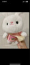 爱尚熊兔子玩偶毛绒玩具小女孩布娃娃儿童女生生日礼物女陪睡觉抱枕公仔 实拍图