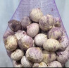 玉燕妃云南正宗新鲜紫皮独头大蒜独蒜干蒜 农家露天自种助农生鲜蔬菜 3-3.5cm紫皮独头干蒜 2斤 实拍图