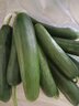 京喜加新鲜无刺水果小黄瓜小青瓜脆甜荷兰脆嫩生吃黄瓜蔬菜 水果黄瓜 1斤 实拍图